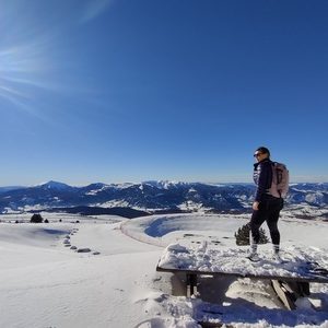 Les accès piétons