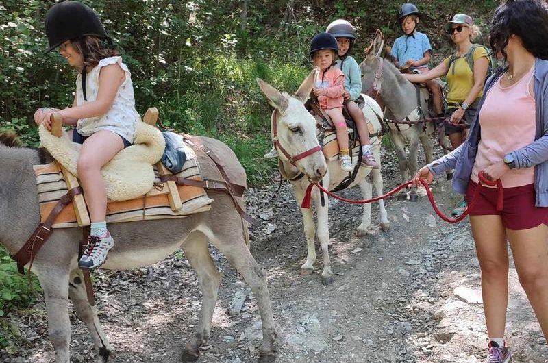 Balade de Montclar à La Bréole avec Tis’Ânes