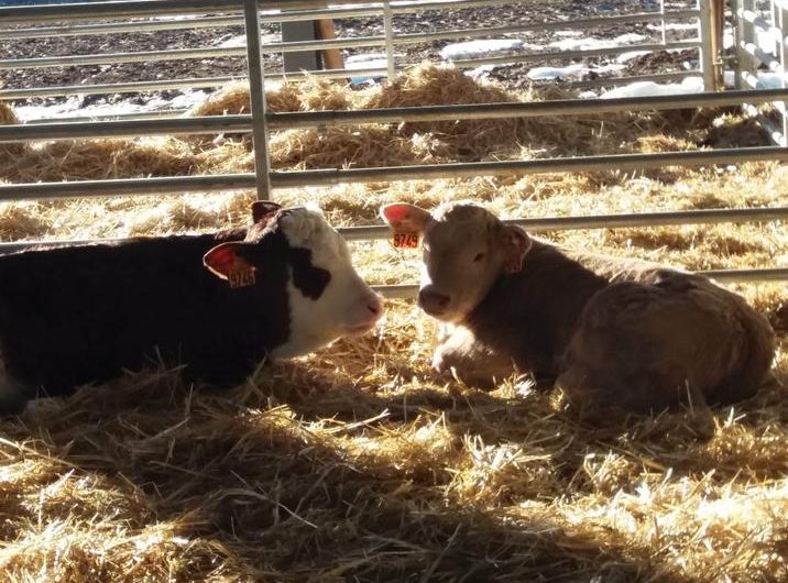 La Ferme des Montclarines