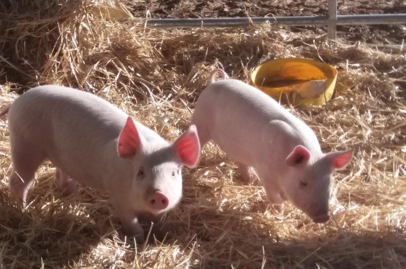 La Ferme des Montclarines