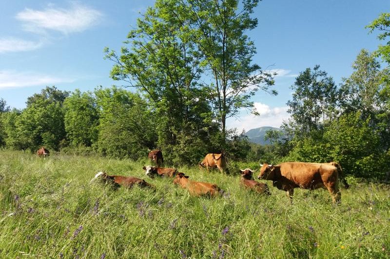 La Ferme des Montclarines