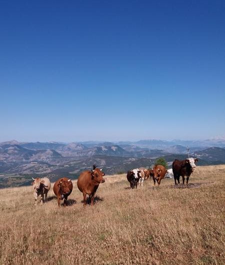 La Ferme des Montclarines