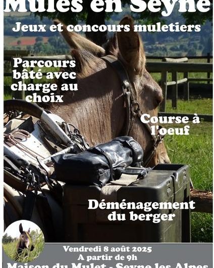 Mules en Seyne, jeux et concours muletiers_Seyne