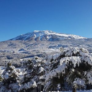 Azur et Neige – Cap France